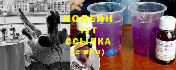гидропоника Горняк