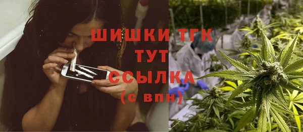 ALPHA PVP Горнозаводск